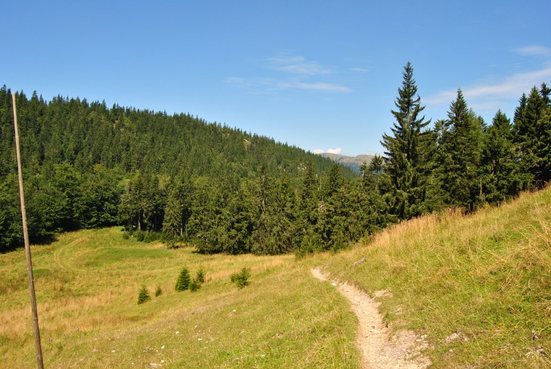 pepajs.cz